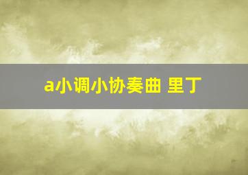 a小调小协奏曲 里丁